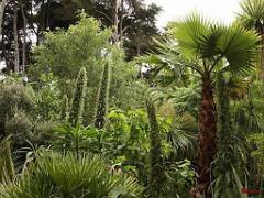 130 Ile de Batz Jardin Georges Delaselle_000019